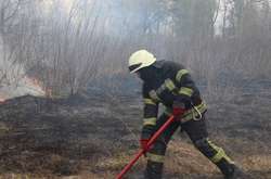  На відкритій території горів трав'яний настил на площі 250 кв. м 