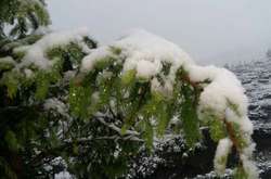 У Карпатах знову випав сніг