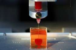  Створено перше дієздатна серце на 3D-принтері 