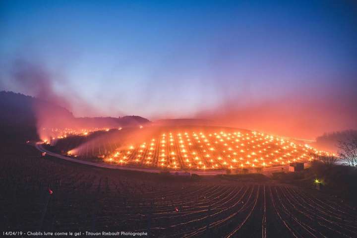 Французькі винороби розпалили тисячі вогнищ для порятунку виноградників від заморозків