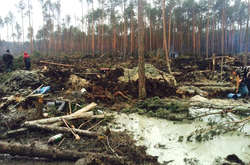  Земля після видобутку бурштину 