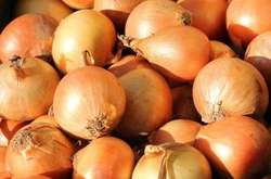  За рік цибуля в Україні подорожчала майже в 5 разів 