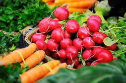 Ярмарки у Києві: де цього тижня можна купити свіжі і недорогі продукти (адреси)