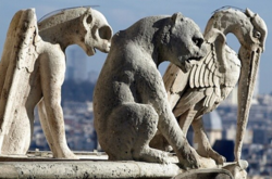 Реакция украинских звезд на пожар в соборе Парижской Богоматери