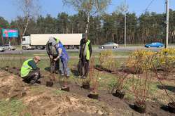 На Братиславській висадили більше ста кленів і яскравих кущів (фото)