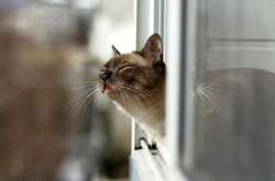 В Україні поступово теплішатиме з 18 квітня 