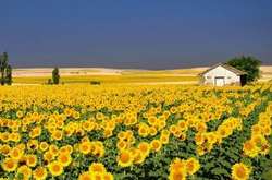 В Україні буде створено електронний реєстр географічних назв