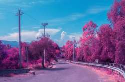 Розовый сезон: захватывающие цвета мира в неожиданных цветах