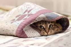 Синоптики попередили про сильні заморозки