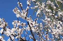 В Україну прийшло майже літнє тепло 