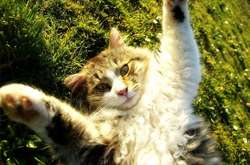 Антициклон Leonore принесе в Україну сонце