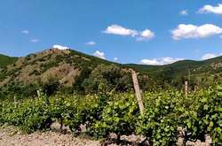 Окупанти в Криму вирішили почати новий проект в сфері виноробства