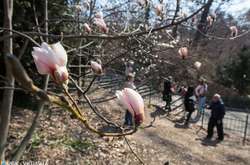 В Україні перед великодніми святами погода буде поступово поліпшуватися