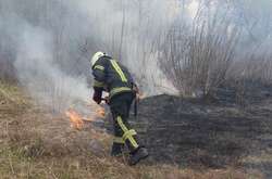 Минулої доби у Києві горіло 1,8 га трав’яного настилу