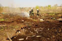 Пожежа сталася на площі 1 га