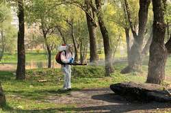 Дезінфекційна обробка парків проти кліщів