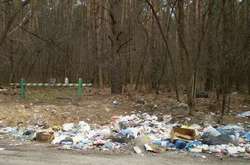 Київ пропонує Раді збільшити штрафи за засмічення міст 