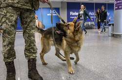 Поліція пропонує посилити покарання за фейкові мінування