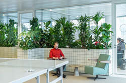 «Тропический» офис в Утрехте: как проектировать современные рабочие места