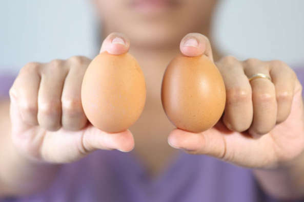Названо топ-20 країн-покупців українських яєць   