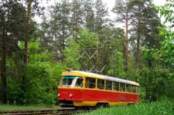 Через падіння дерева заблоковано рух трамваїв до Пущі-Водиці (оновлено)