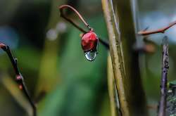 Температура вдень становитиме 16-21° з позначкою «плюс»