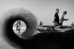 Животные на улице: нестандартные снимки индийского фотографа