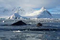 Украинские полярники сделали яркие фото Антарктиды