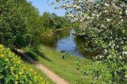 На вихідних в Україні буде тепло, але йтимуть дощі