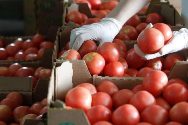 В Україну не пустили 36 тонн заражених помідорів з Туреччини
