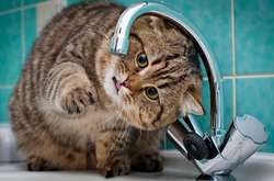 В Киеве без горячей воды остались почти 600 домов