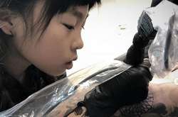 Самая юная татуировщица в мире: 10-летняя японская девочка работает тату-мастером в Амстердаме