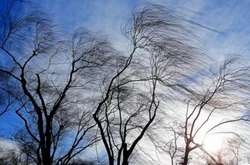 Штормове попередження: по Одесі і області очікуються пориви південно-західного вітру