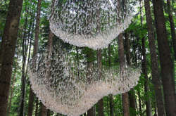 В итальянском лесу появилась необычная инсталляция