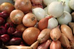 Де дешевше купити цибулю: у Києві тривають ярмарки (адреси)