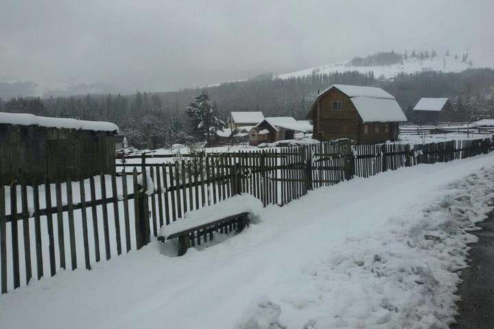 Зима у травні: вражаючі фото засніженого Прикарпаття