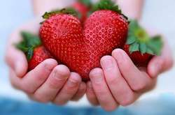 Вкусно и полезно: клубника способствует предотвращению онкологических заболеваний