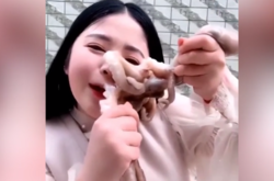 Осьминог напал на блогершу в прямом эфире, когда та пыталась съесть его живьем