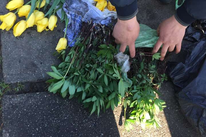 Вандали на клумбах: у Києві зловили чергову злодійку, яка крала квіти (фото)