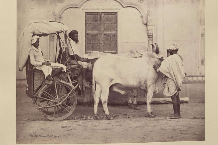 Як виглядала Індія в 19 столітті. Фантастичні фото, зроблені британським банкіром