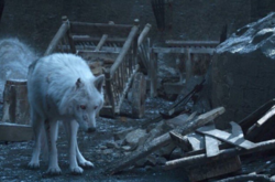 Режиссер «Игры престолов» объяснил, почему Джон Сноу равнодушно попрощался с лютоволком