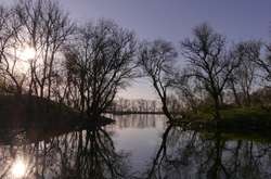 Одеський зоопарк презентував досвід заповідної роботи на науковій конференції