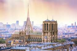 Дах Нотр-Даму пропонують перетворити на фруктовий сад