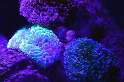 unsplash / @davidclode