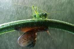 Синоптик повідомила, коли в Україні почнеться період сухої сонячної погоди