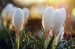 Повітря в Україні сьогодні прогріється до +25