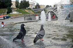 В Украину идет 30-градусная жара