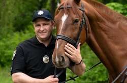 Патрульні Києва розповіли, скільки у них «працює» коней