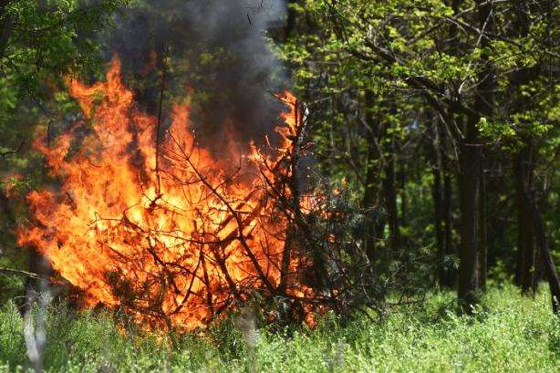 Висока пожежна небезпека: у лісах Києва ведеться цілодобове чергування