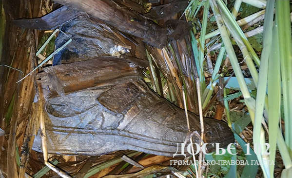 У Тернополі в очереті знайшли скелет людини 